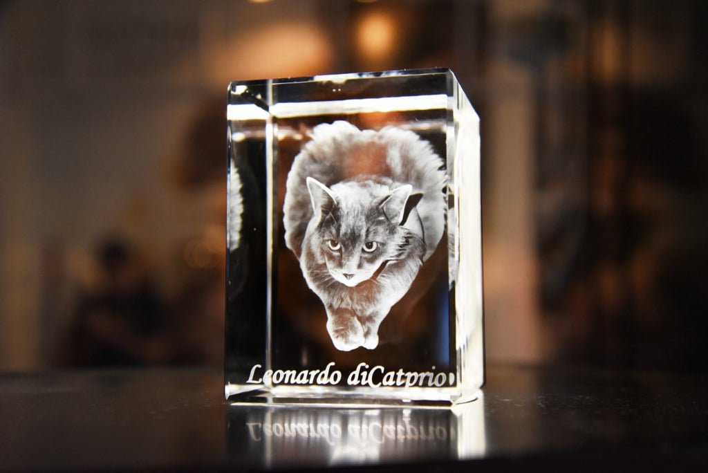 3D Crystal Portrait - Small